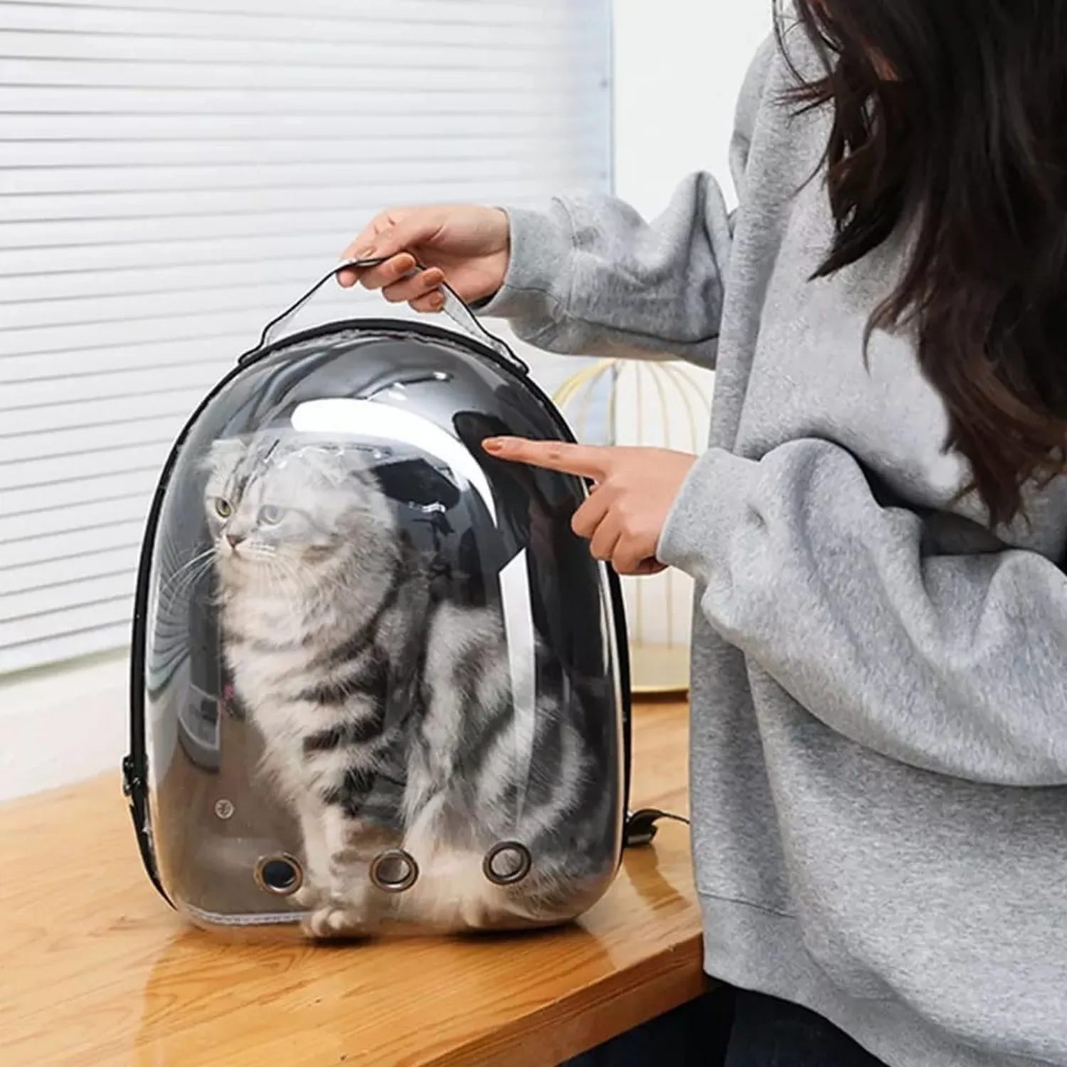 Mochila transportadora de mascotas de acrílico transparente con ventilación-13